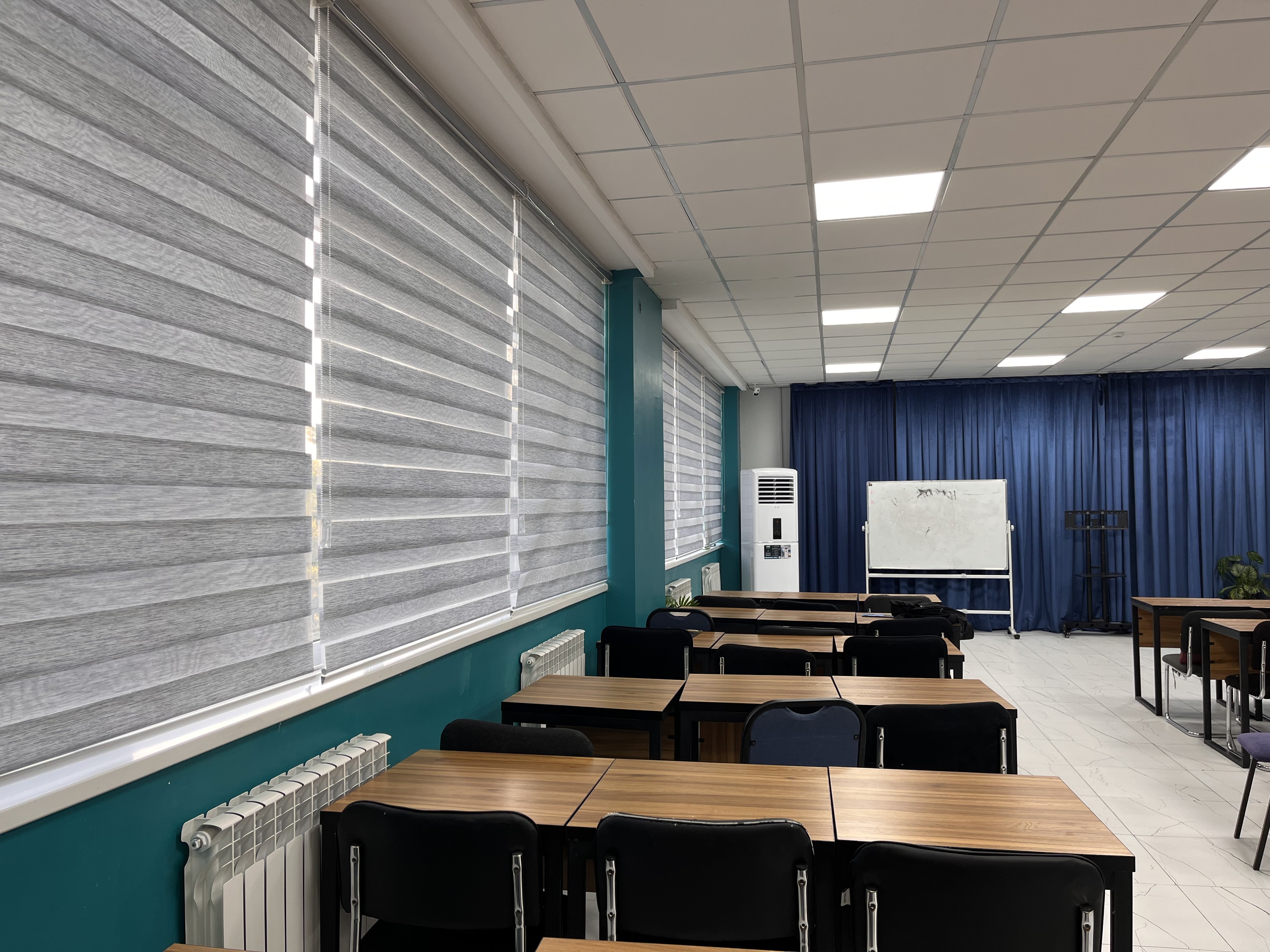 Study Areas